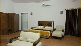 Arthigamya Spa & Resort-Luxury AC Room-1